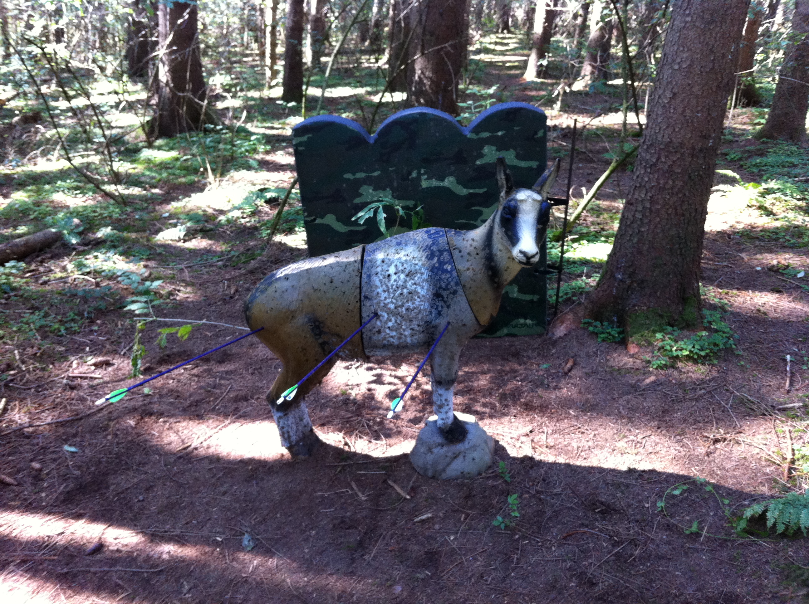 3D-Jagdbogen-Parcour04