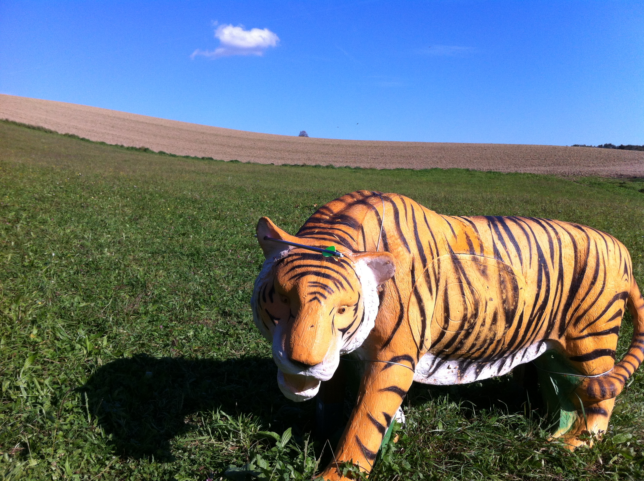 3D-Jagdbogen-Parcour05